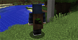 Example HD cloak - dirt block